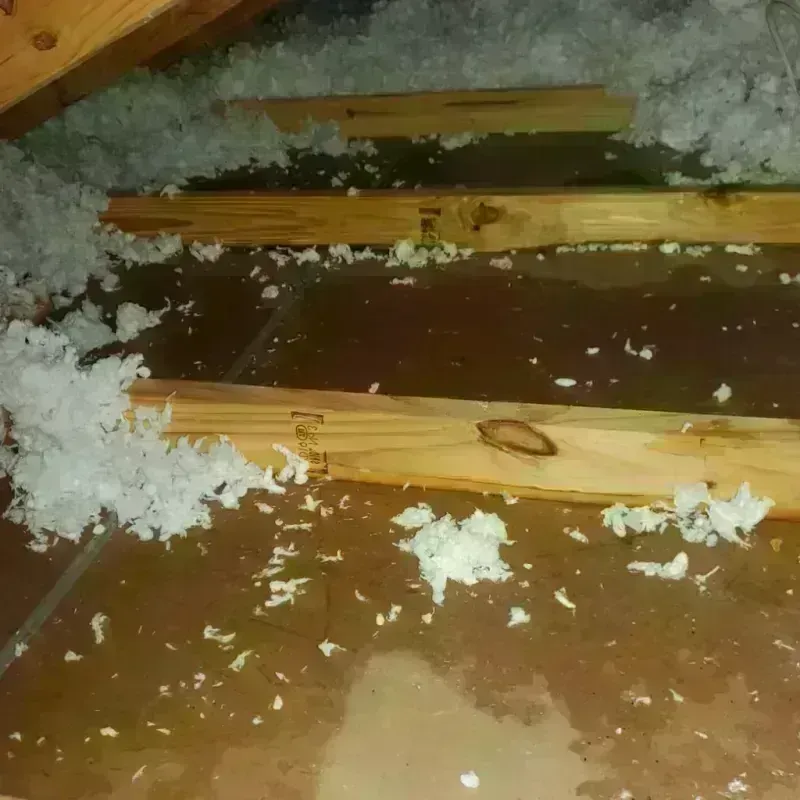 Attic Water Damage in Eldorado, IL