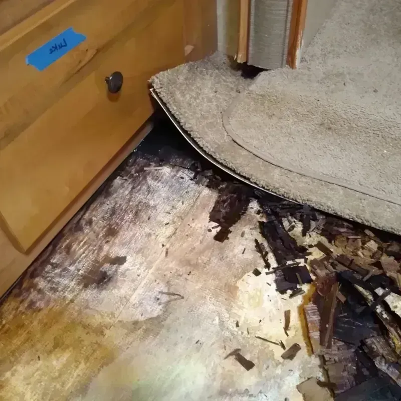 Best Wood Floor Water Damage Service in Eldorado, IL